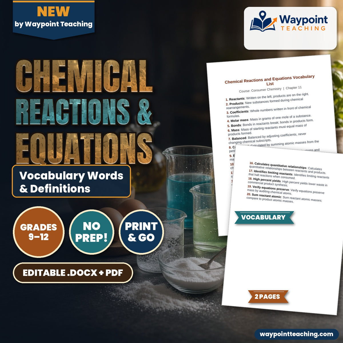 Chemical Reactions & Equations Vocabulary Words & Definitions cover