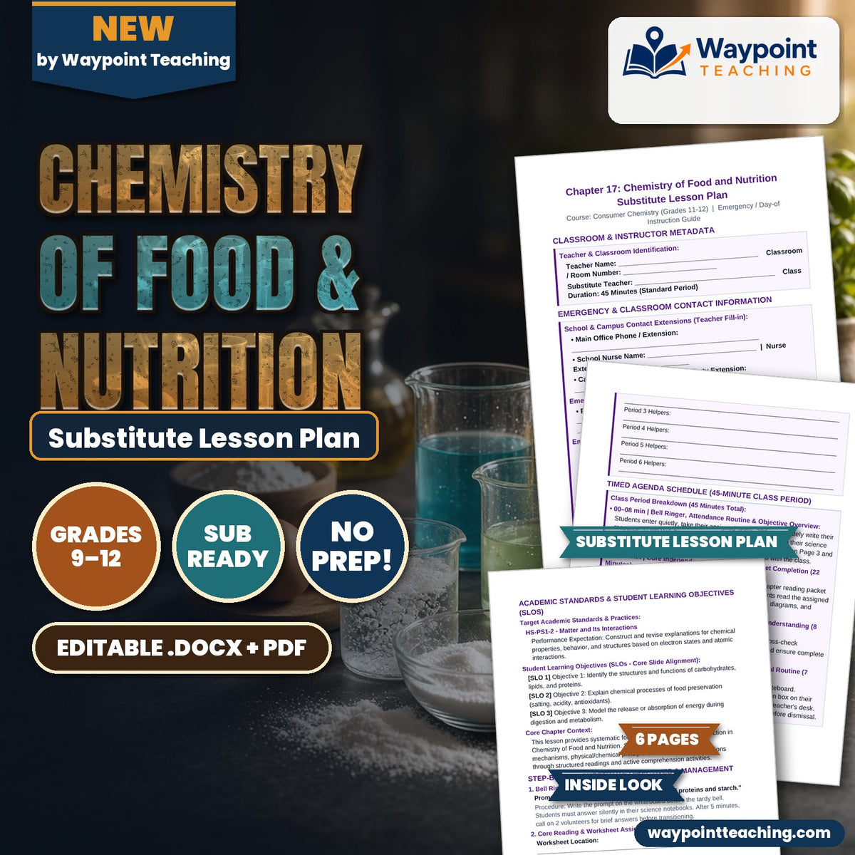 Chemistry of Food & Nutrition Substitute Lesson Plan cover
