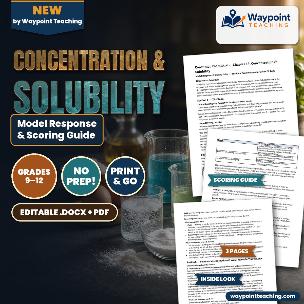 Concentration & Solubility Model Response & Scoring Guide cover