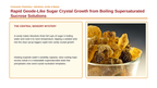 Concentration & Solubility Phenomena-Based Lesson: Rapid Geode-Like Sugar Crystal Growth from Boiling Supersaturated Sucrose Solutions Presentation sample page