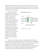 Electrolytes in Sports Drinks Sodium and Potassium Ions Reading Worksheet sample page