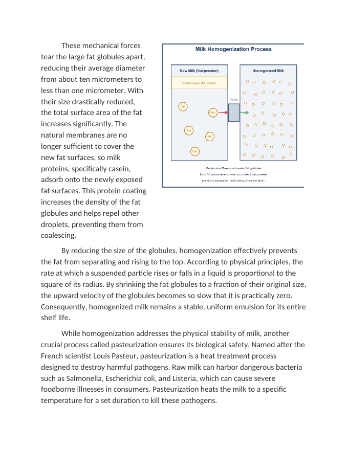 Homogenization and Pasteurization of Dairy Milk Reading Worksheet sample page
