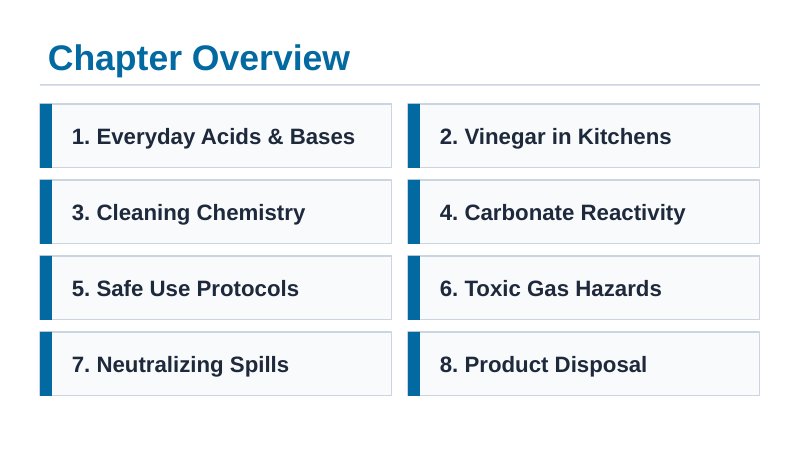 Household Acids & Bases Slide Show Presentation sample page