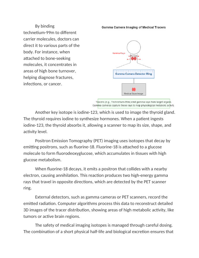 Medical Isotopes in Diagnostic Imaging Reading Worksheet sample page