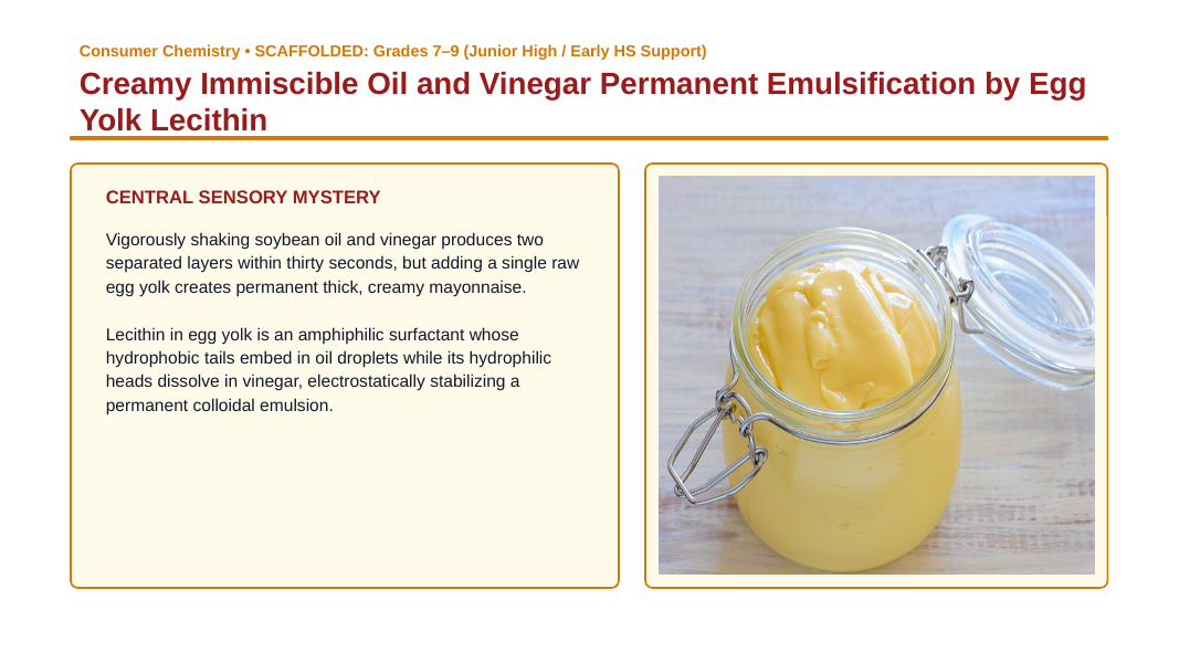 Mixtures & Solutions Scaffolded Phenomena-Based Lesson: Creamy Immiscible Oil and Vinegar Permanent Emulsification by Egg Yolk Lecithin Presentation sample page