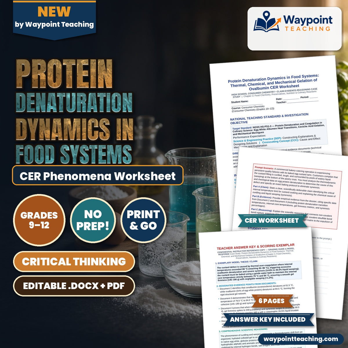 Protein Denaturation Dynamics in Food Systems: Thermal, Chemical, and Mechanical Gelation of Ovalbumin CER Phenomena Worksheet cover