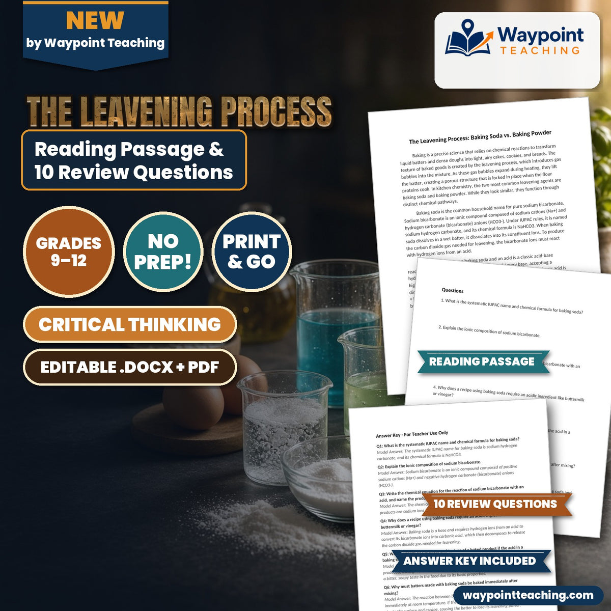 The Leavening Process: Baking Soda vs. Baking Powder Reading Worksheet cover
