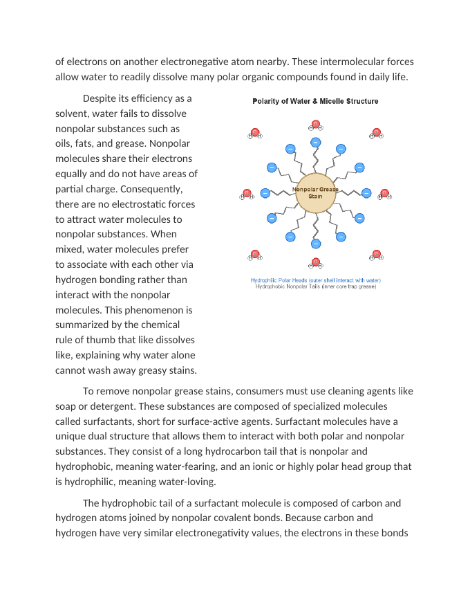 The Polarity of Water in Stain Removal and Washing Reading Worksheet sample page