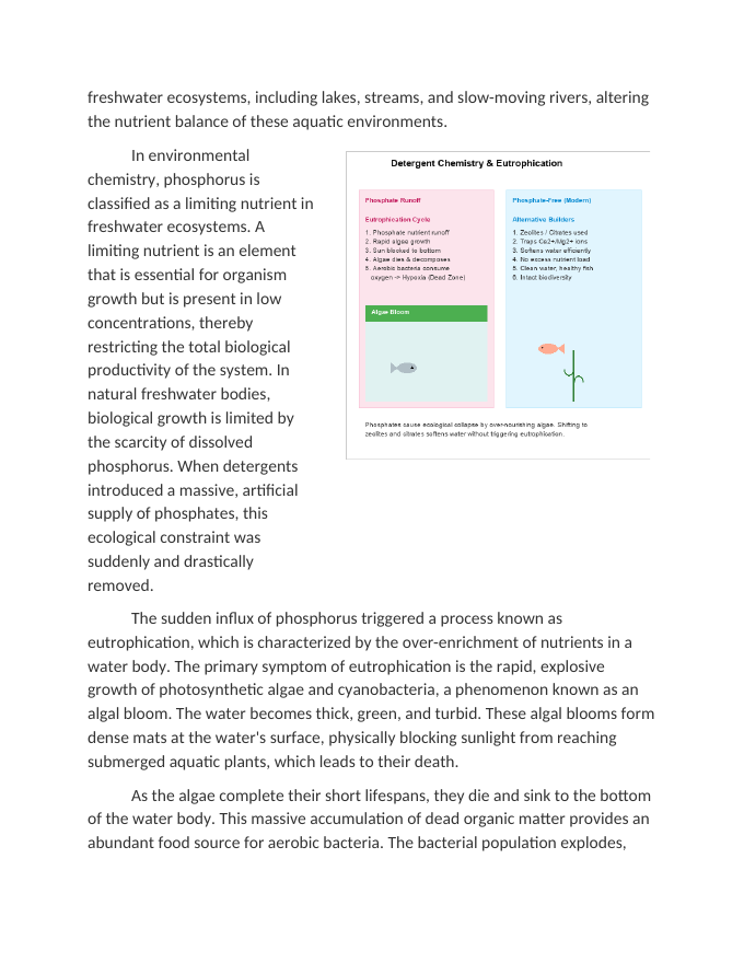 The Shift to Phosphate-Free Laundry Detergents Reading Worksheet sample page