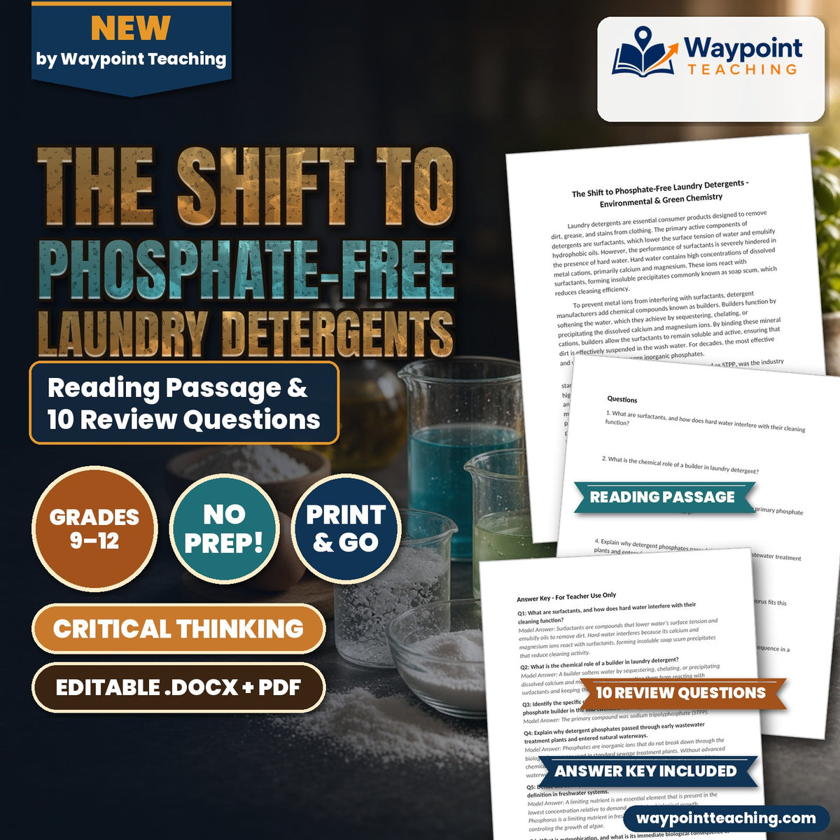 The Shift to Phosphate-Free Laundry Detergents Reading Worksheet cover
