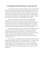 Trace Minerals in Daily Multivitamins Reading Worksheet sample page