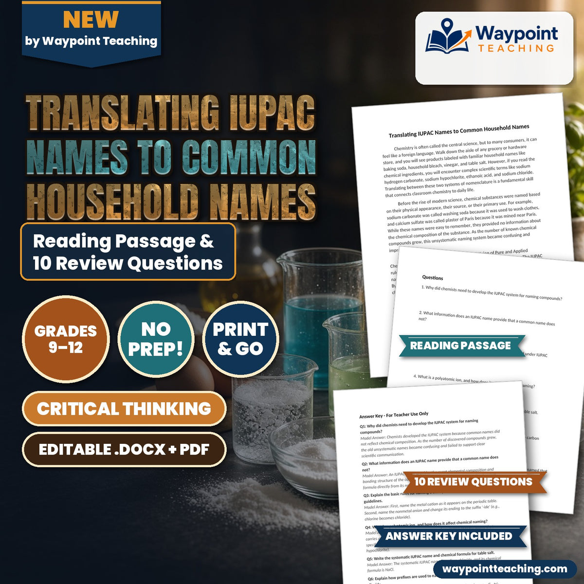 Translating IUPAC Names to Common Household Names Reading Worksheet cover