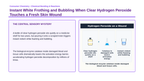 Types of Chemical Reactions Phenomena-Based Lesson: Instant White Frothing and Bubbling When Clear Hydrogen Peroxide Touches a Fresh Skin Wound Presentation sample page