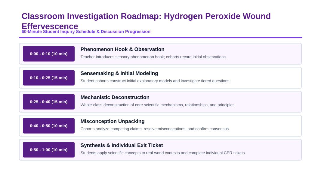 Types of Chemical Reactions Phenomena-Based Lesson: Instant White Frothing and Bubbling When Clear Hydrogen Peroxide Touches a Fresh Skin Wound Presentation sample page