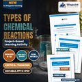 Types of Chemical Reactions Project-Based Learning Activity cover