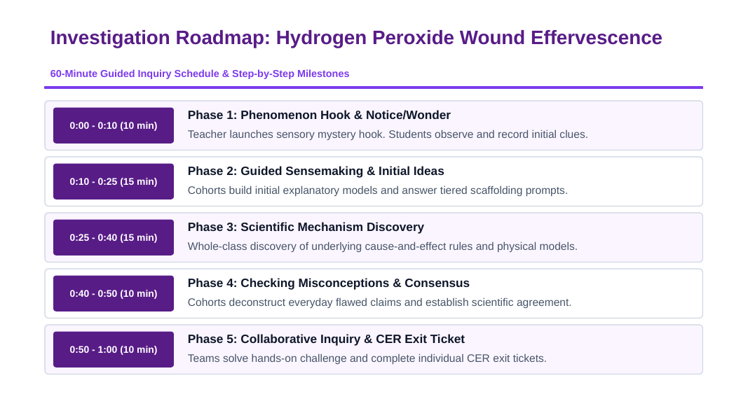 Types of Chemical Reactions Scaffolded Phenomena-Based Lesson: Instant White Frothing and Bubbling When Clear Hydrogen Peroxide Touches a Fresh Skin Wound Presentation sample page