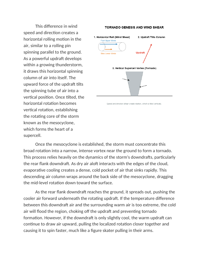 Atmospheric Conditions Leading to Tornado Genesis Reading Worksheet sample page