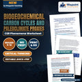 Biogeochemical Carbon Cycles and Paleoclimate Proxies: Deep-Sea Foraminifera Delta-18O, Vostok/EPICA Ice Cores, and Glacial Milankovitch Dynamics CER Phenomena Worksheet cover