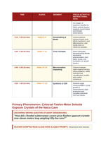 Minerals Phenomena-Based Lesson: Colossal Twelve-Meter Selenite Gypsum Crystals of the Naica Cave Teacher Discussion Guide sample page