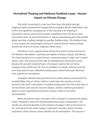 Permafrost Thawing and Methane Feedback Loops Reading Worksheet sample page