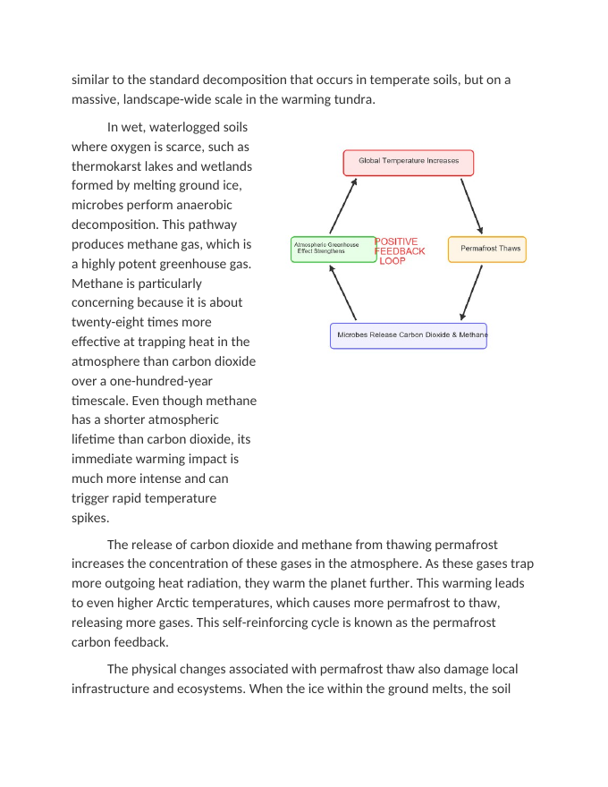 Permafrost Thawing and Methane Feedback Loops Reading Worksheet sample page