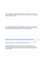 Stars Phenomena-Based Lesson: Sudden Photospheric Dimming and Dust Ejection of Supergiant Betelgeuse Student Response Sheet sample page