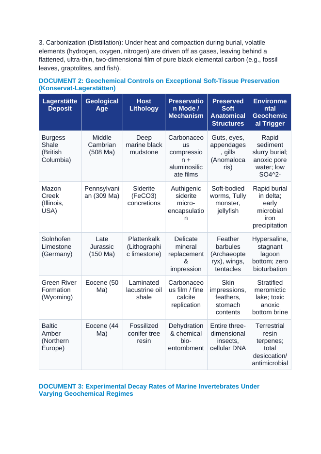 Taphonomy and Fossil Preservation: Mineral Replacement, Carbonization, and Konservat-Lagerstätten Geochemical Windows CER Phenomena Worksheet sample page