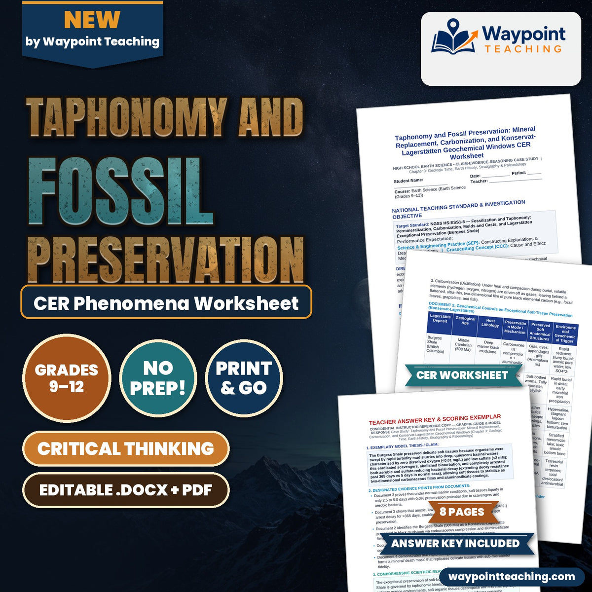 Taphonomy and Fossil Preservation: Mineral Replacement, Carbonization, and Konservat-Lagerstätten Geochemical Windows CER Phenomena Worksheet cover