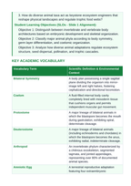 Animals and Classifications 5E Lesson Plan sample page