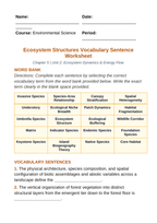 Animals and Classifications Fill-in-the-Blank Vocabulary Worksheet sample page