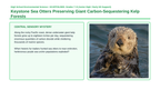 Animals and Classifications Scaffolded Phenomena-Based Lesson: Keystone Sea Otters Preserving Giant Carbon-Sequestering Kelp Forests Presentation sample page