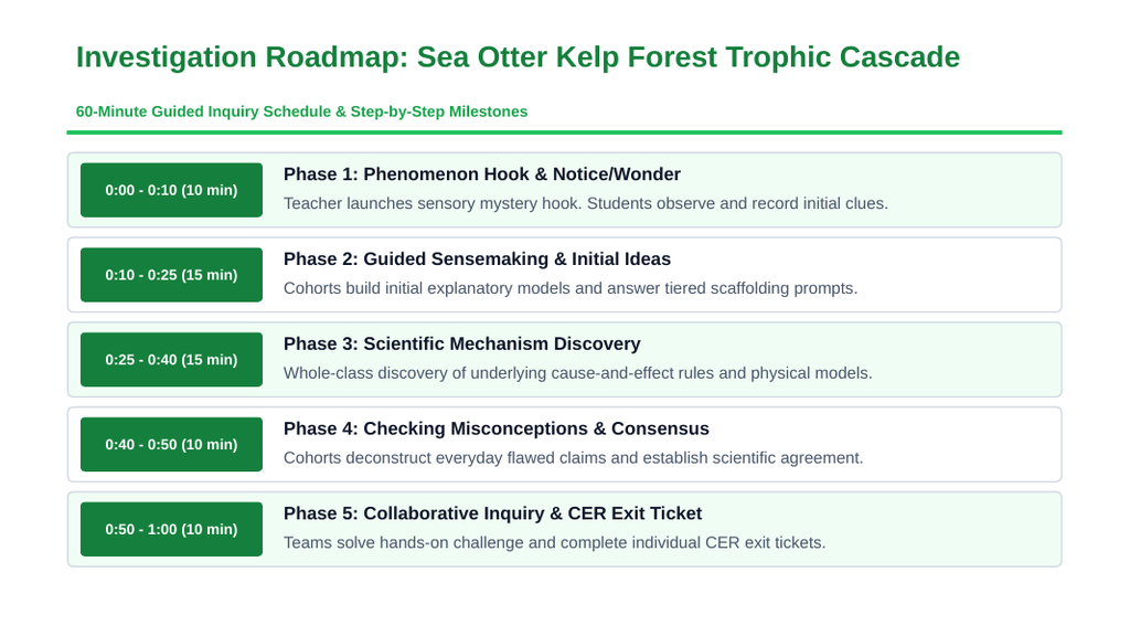 Animals and Classifications Scaffolded Phenomena-Based Lesson: Keystone Sea Otters Preserving Giant Carbon-Sequestering Kelp Forests Presentation sample page