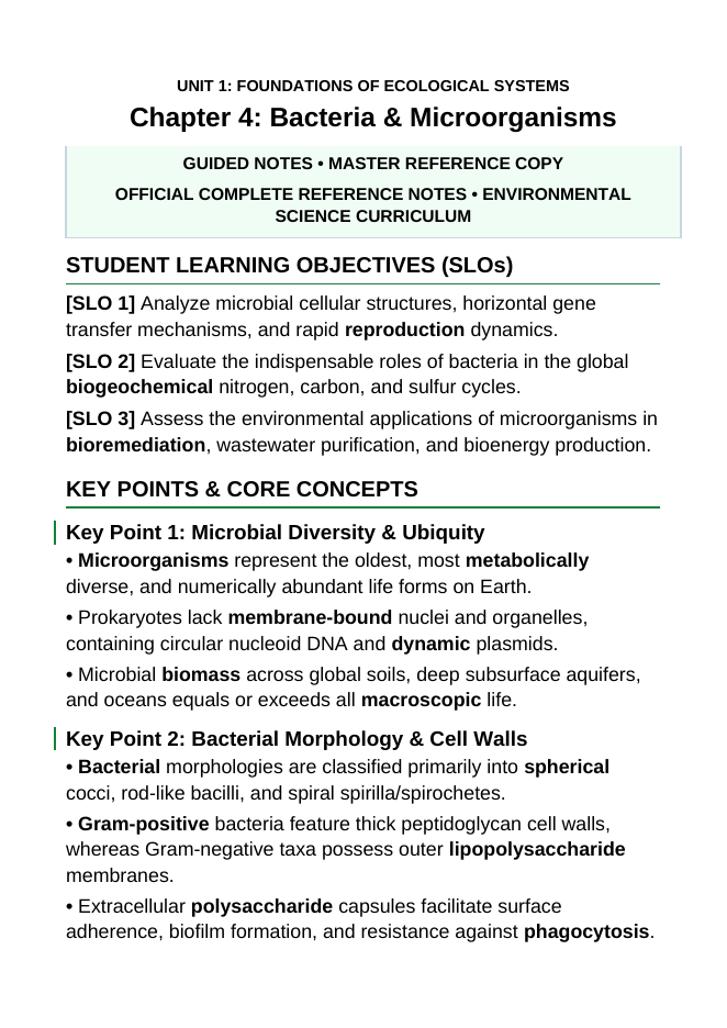 Bacteria and Microorganisms Guided Notes sample page