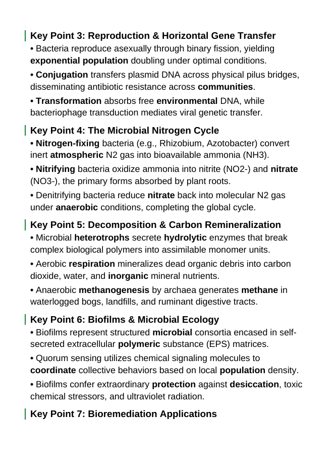 Bacteria and Microorganisms Guided Notes sample page