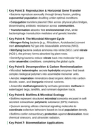 Bacteria and Microorganisms Guided Notes sample page