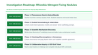 Bacteria and Microorganisms Scaffolded Phenomena-Based Lesson: Symbiotic Nitrogen-Fixing Rhizobia in Legume Root Nodules Presentation sample page