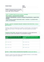 Bacteria and Microorganisms Scaffolded Phenomena-Based Lesson: Symbiotic Nitrogen-Fixing Rhizobia in Legume Root Nodules Student Response Sheet sample page