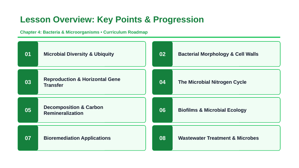 Bacteria and Microorganisms Slide Show Presentation sample page