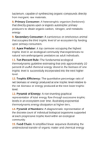 Bacteria and Microorganisms Vocabulary Words & Definitions sample page