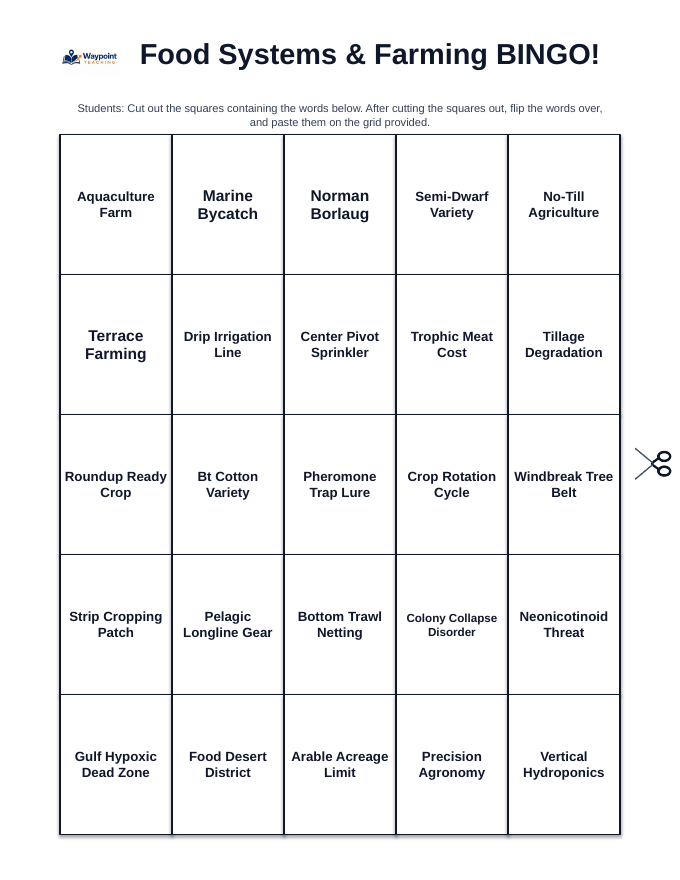 Food Systems and Farming BINGO Review Game sample page