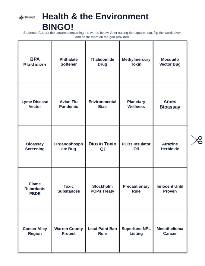 Health and the Environment BINGO Review Game sample page