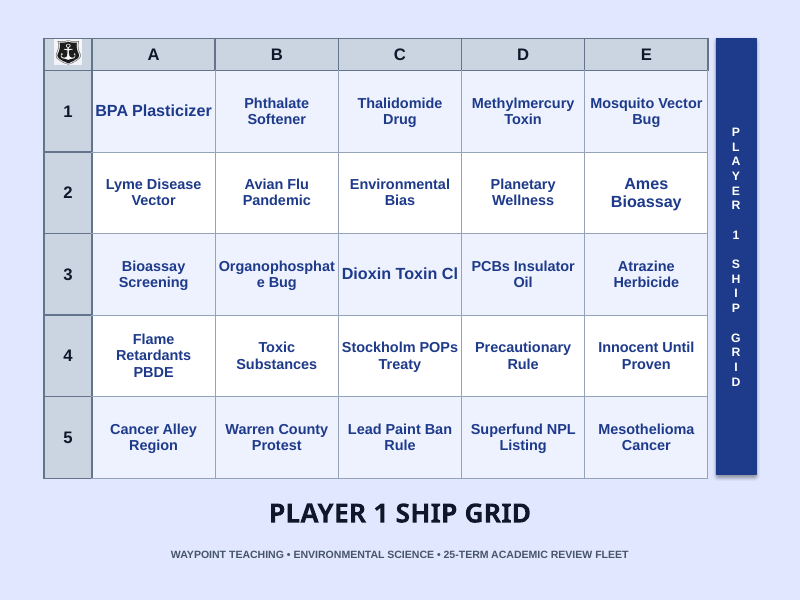 Health and the Environment Sea Battle Review Game sample page