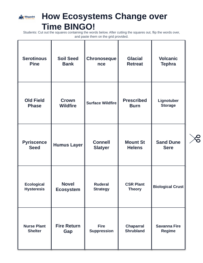 How Ecosystems Change Over Time BINGO Review Game sample page