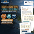 How Ecosystems Change Over Time Vocabulary Choice Board cover
