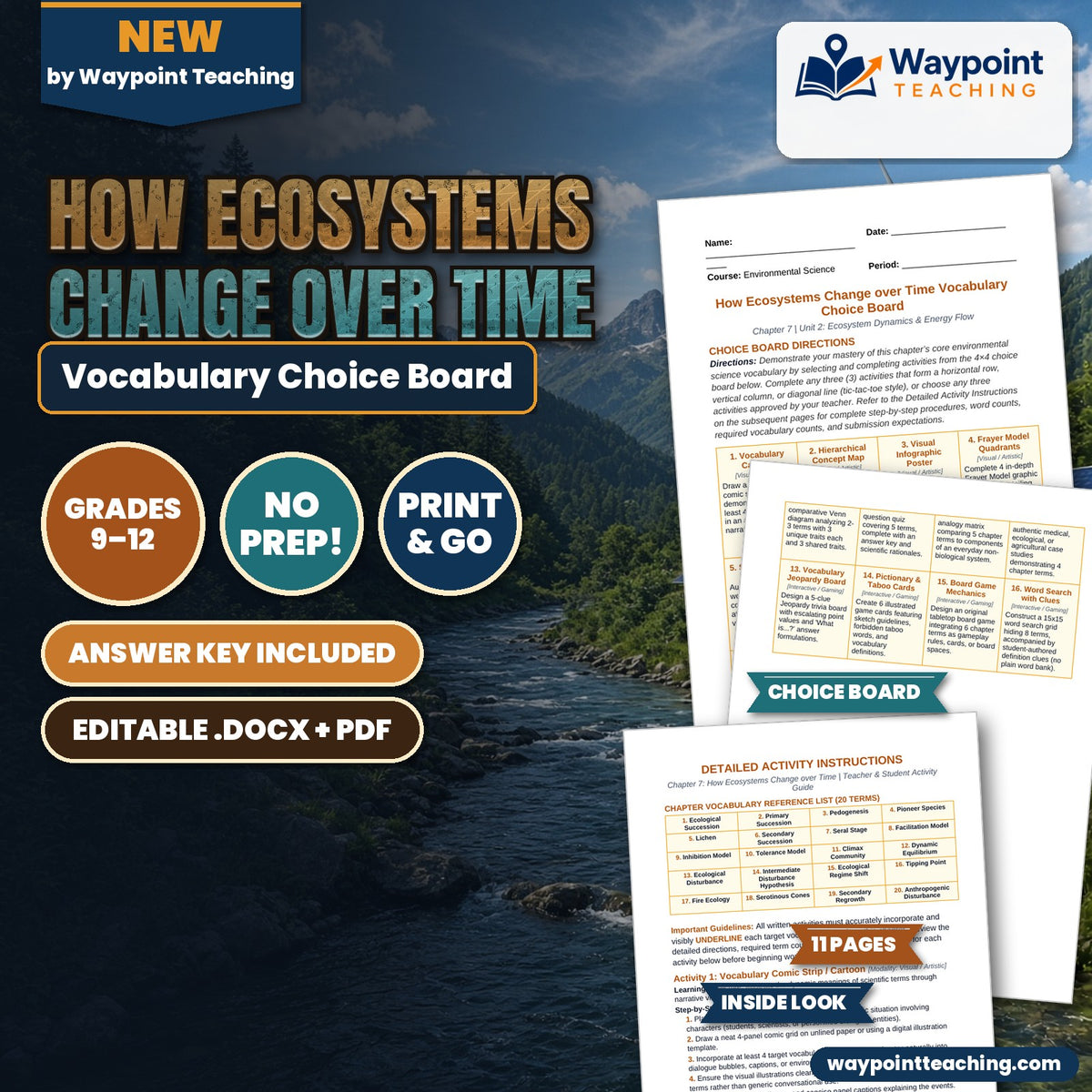 How Ecosystems Change Over Time Vocabulary Choice Board cover