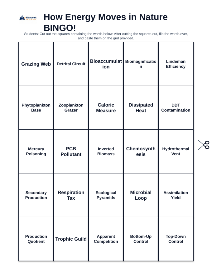 How Energy Moves in Nature BINGO Review Game sample page