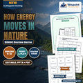 How Energy Moves in Nature BINGO Review Game cover