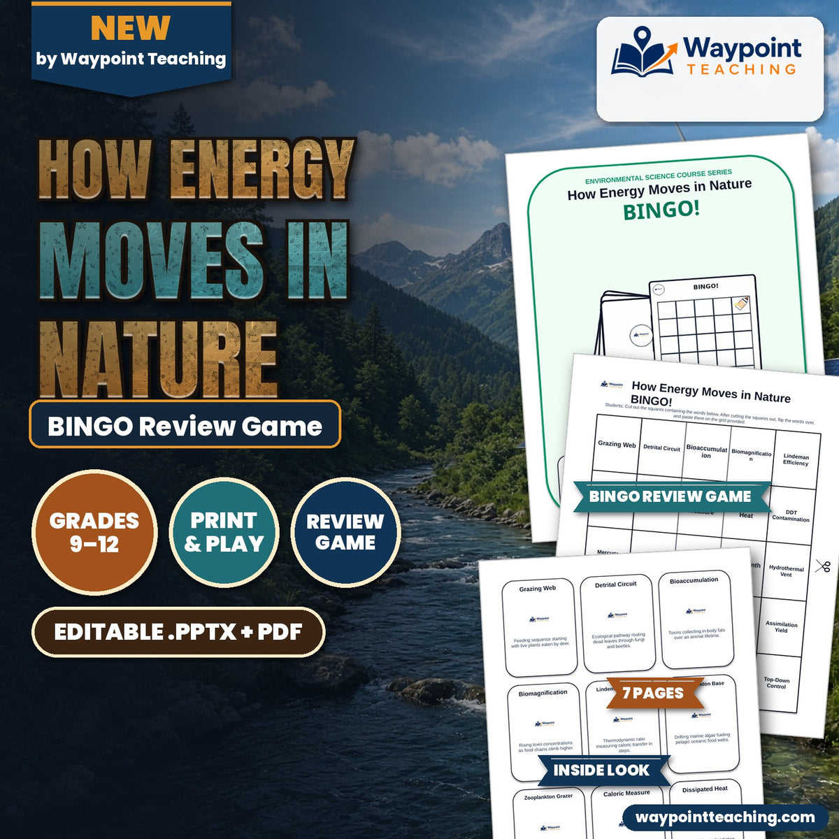 How Energy Moves in Nature BINGO Review Game cover