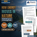 How Energy Moves in Nature Model Response & Scoring Guide cover