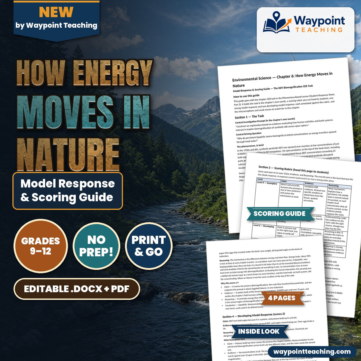 How Energy Moves in Nature Model Response & Scoring Guide cover